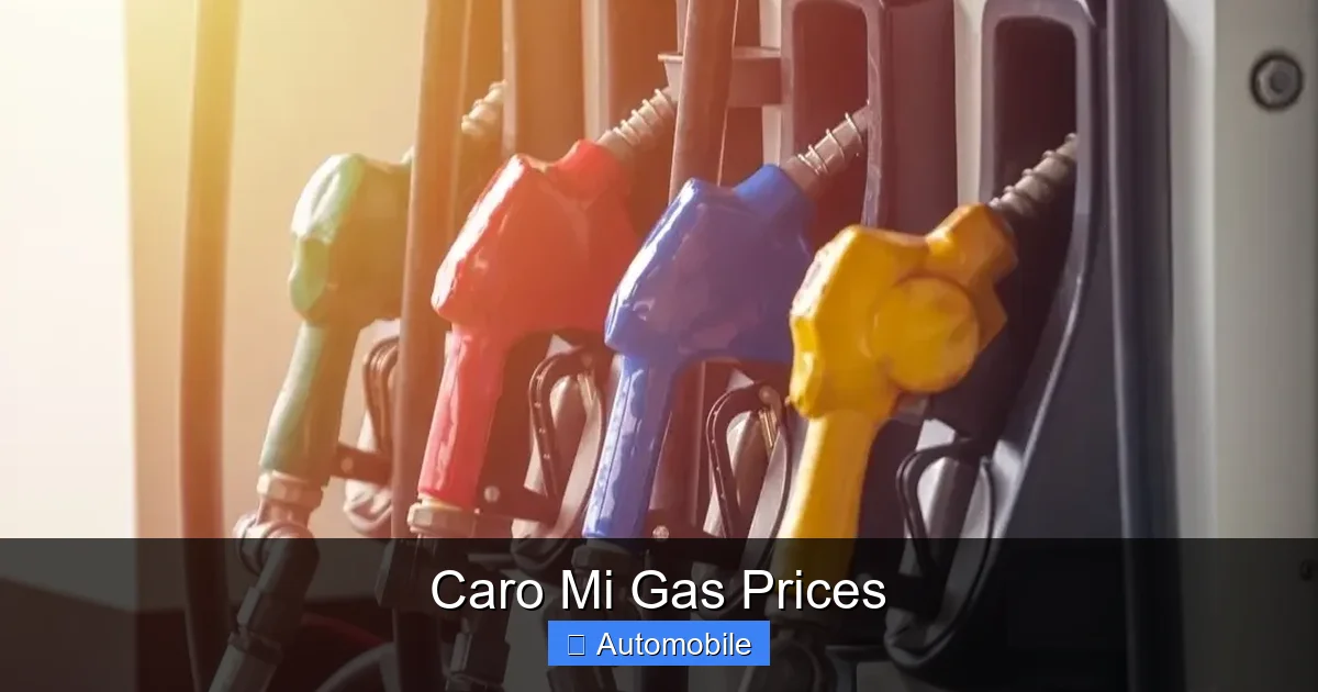 Caro Mi Gas Prices