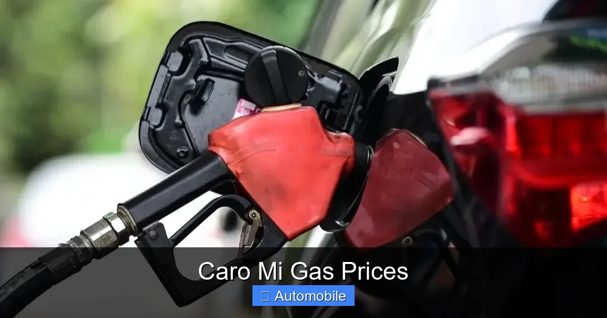 Caro Mi Gas Prices